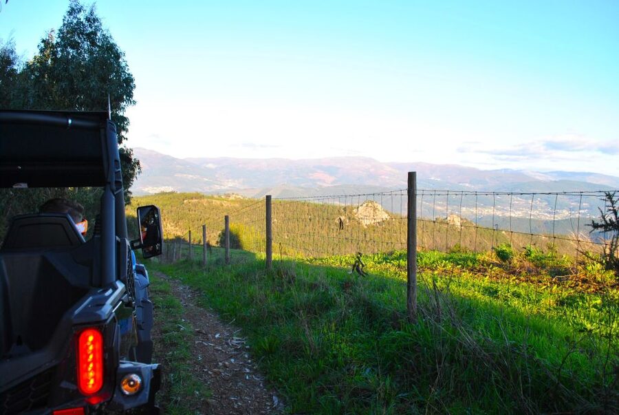 Buggy Experiences - Price and value: $76 for a private group up to 2
