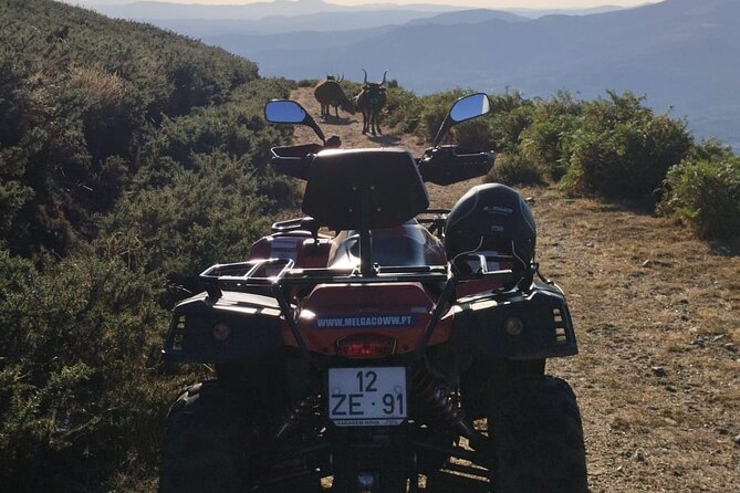 Buggy or Moto4 tour through Melgaço - Fiães by High Viewpoints, Then Into the All Terrain Paths