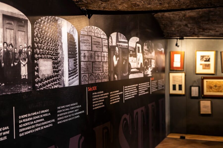 Burmester Cellar Tour - Inside the Cellars: Port Wines and the Douro DOC Production Story