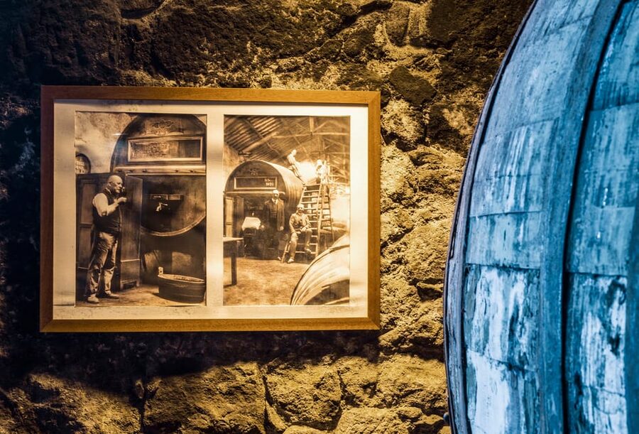 Burmester Cellar Tour - The Tasting Portion: Two Ports You Can Actually Compare