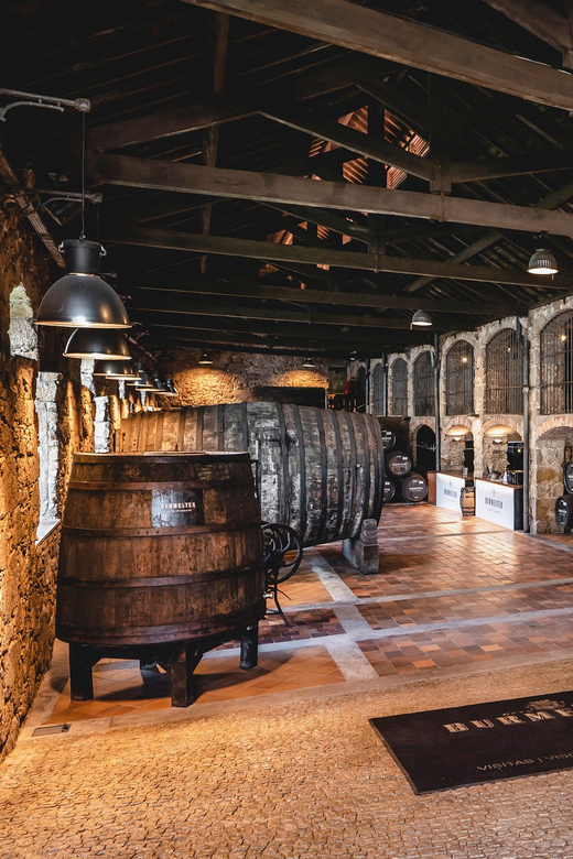 Burmester Cellar Tour - Views, Pace, and What Makes the 1-Hour Timing Work