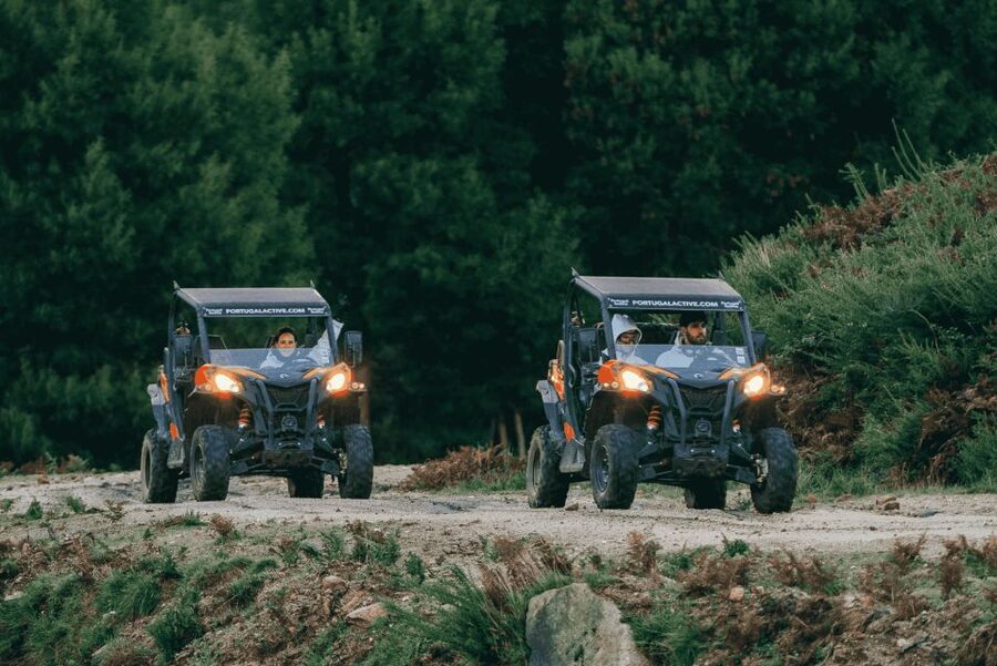 Can-Am Experience - Price and Value: $194 for a Group Up to 2