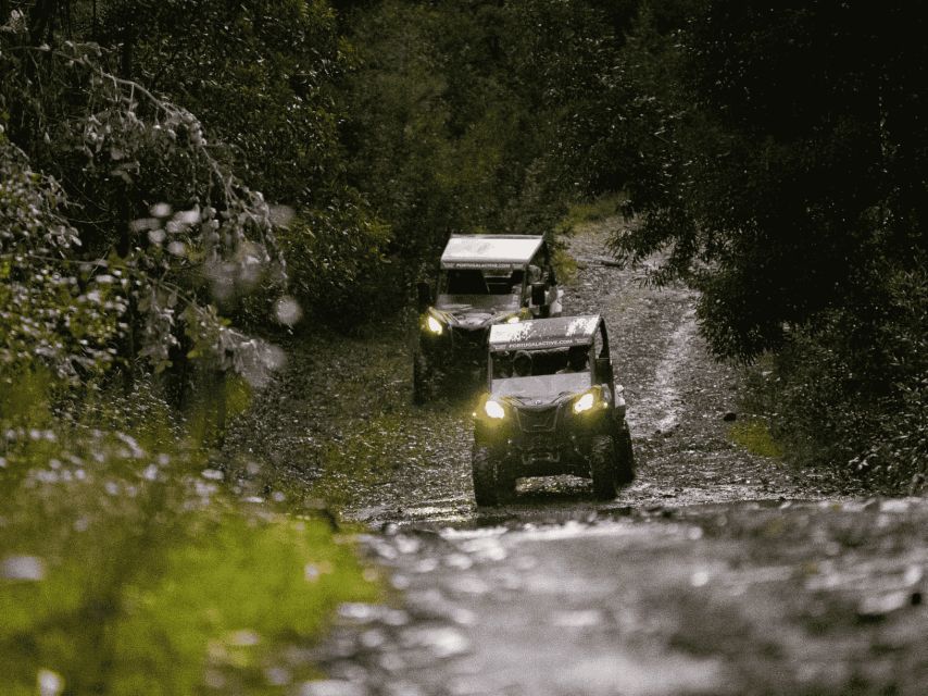Can-Am Experience - Who Should Book This Can-Am Experience (and Who Might Skip)