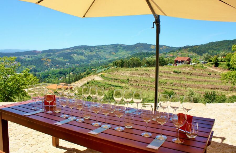 Celorico De Basto: Quinta de Santa Cristina Winery Tour - Who this tour is for (and who should choose something else)