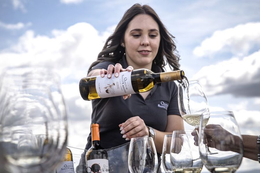 Celorico De Basto: Quinta de Santa Cristina Winery Tour - Vineyard time: the 20-minute guided walk that sets the scene