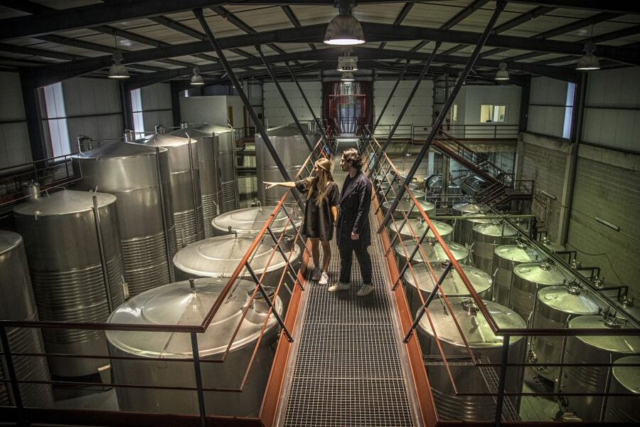 Celorico De Basto: Quinta de Santa Cristina Winery Tour - Inside the winery: 20 minutes of estate history and how wine gets made