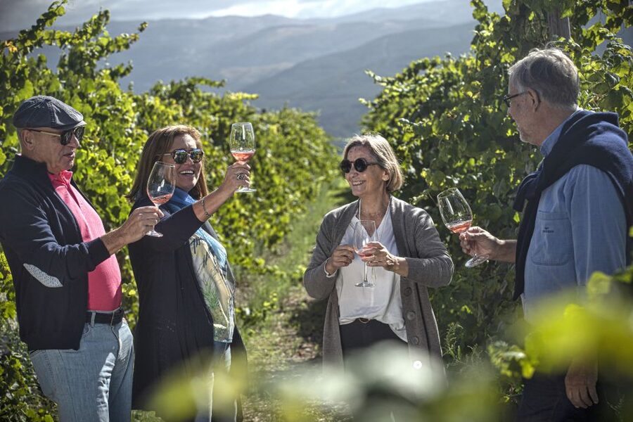 Celorico De Basto: Quinta de Santa Cristina Winery Tour - The tasting and tapas hour: how to get more from the glass