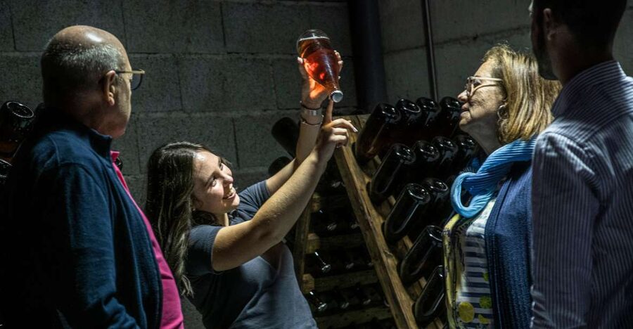 Celorico De Basto: Quinta de Santa Cristina Winery Tour - Views and guide style: the reason people leave happy