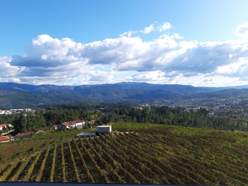 Celorico De Basto: Quinta de Santa Cristina Winery Tour - Price and value: does $28 make sense for this experience?