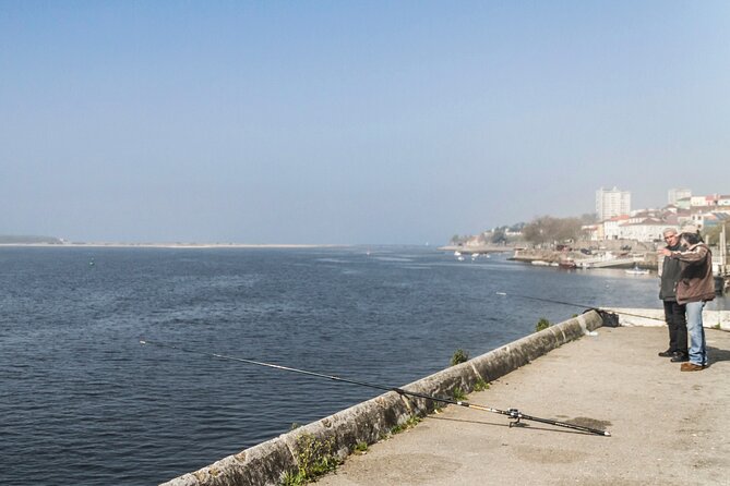City Bike Rental in Porto - A one-day Porto plan that feels flexible, not rushed