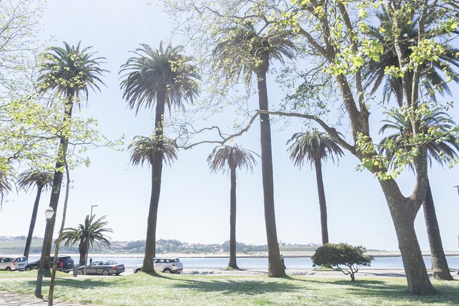 City Bike Rental in Porto - Who this bike rental suits best