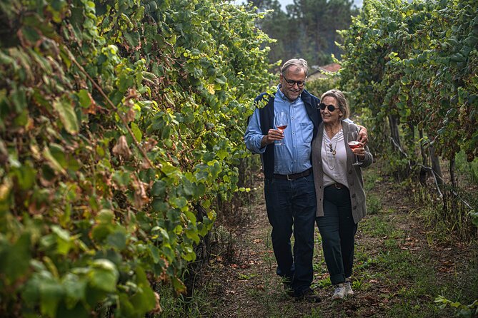 Classic Tasting | Quinta de Santa Cristina Vinho Verde - Kids tasting: juice, cookies, and an actually family-friendly flow