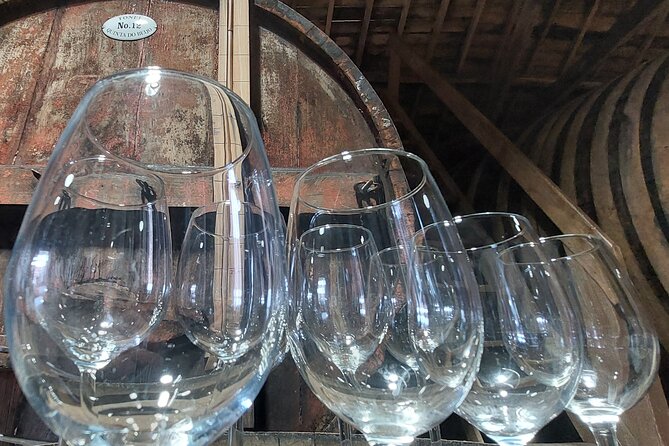 Classic Wine Tasting with GUIDED TOUR - The guide energy: interactive and entertaining, sometimes led by the owner