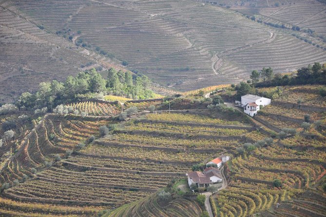 Classic Wine Tasting with GUIDED TOUR - Price and value: $30.23 for guided tastings in a real cellar