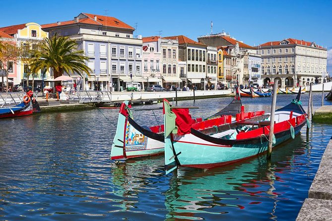 Coimbra & Aveiro Full Day Private Tour from Porto - Who This Tour Works Best For