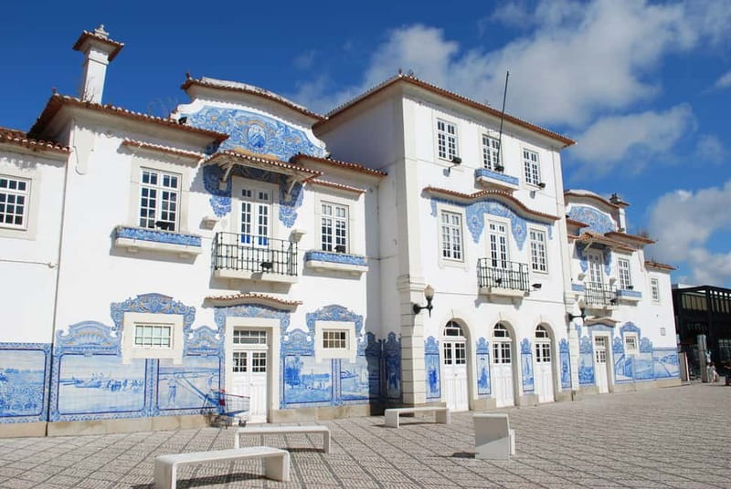 Coimbra & Aveiro Private Tour – Customizable Experience - Sé Velha and Santa Cruz Monastery, the royal tomb stop that adds weight