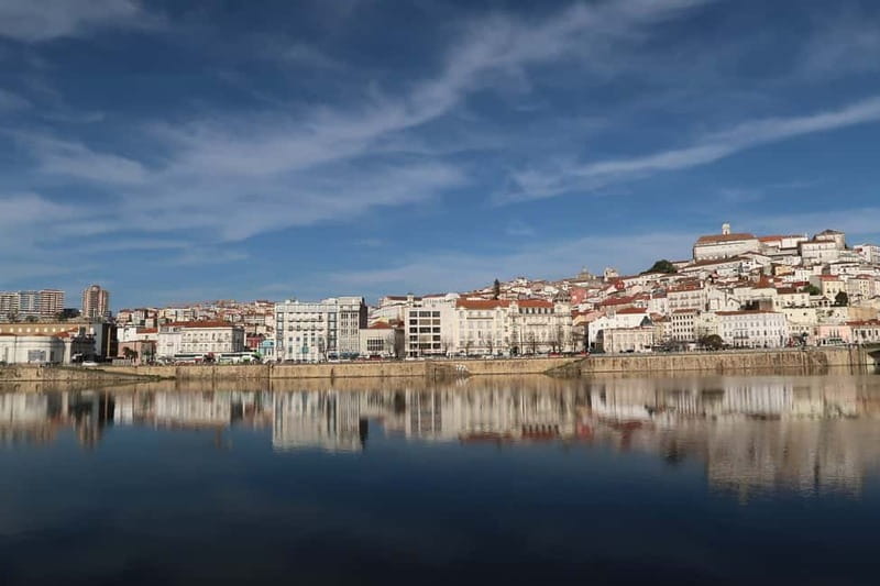 Coimbra & Aveiro Private Tour – Customizable Experience - Lunch decisions in Coimbra: regional vs DOC-paired premium