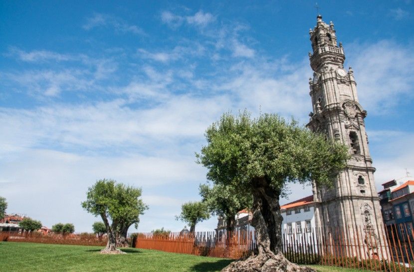 Combo: Porto City Half-Day Tour & Aveiro Half-Day Tour - The port wine cellar visit: how the wine is made, plus rare bottles and tasting
