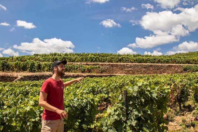 Complete Douro Valley Wine Tour with Lunch, Wine Tastings and River Cruise - Key Things to Know Before You Go