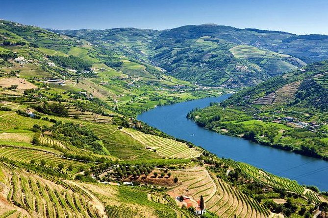 Complete Douro Valley Wine Tour with Lunch, Wine Tastings and River Cruise - Folgosa Winery Finish: The Third Tasting and a Chance to Compare