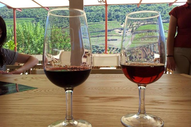 Complete Douro Valley Wine Tour with Lunch, Wine Tastings and River Cruise - Price and Value Check: What $101.76 Really Buys