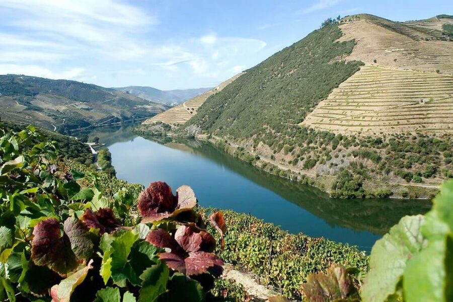 Day Cruise from Porto to Pinhão with Breakfast and Lunch - Breakfast and lunch on board: more than a snack stop