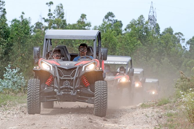 Dirt and Dust Tour by Oporto Buggy - Duration, Group Size, and How the Hour Adds Up