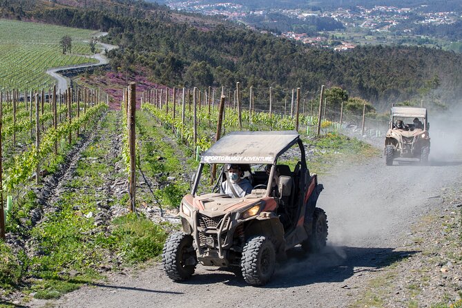 Dirt and Dust Tour by Oporto Buggy - Weather Matters: The Real Constraint Before You Go