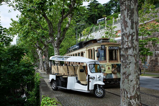 Discover Porto's Highlights on a 2-Hour Private Electric Tuk Tuk - Where You Meet and How the Tour Actually Feels