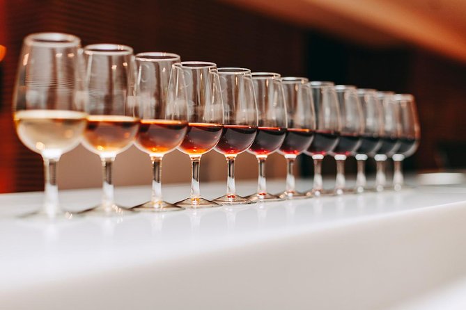 Douro Discovery Tasting - Where Porto Cruz Fits Into a Port-Obsessed Day in Gaia