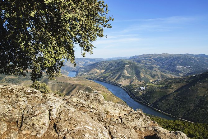 Douro Full Day Tour with Wine Tasting and Lunch - Key Highlights Before You Go