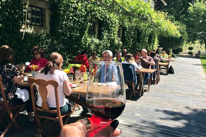 Douro: luxury walking tour with lunch at Quinta da Pacheca - Quinta da Pacheca luxury walking tour, the real idea