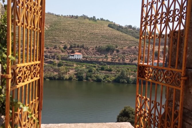 Douro: luxury walking tour with lunch at Quinta da Pacheca - Guided visit to old wine cellars, where the stories connect