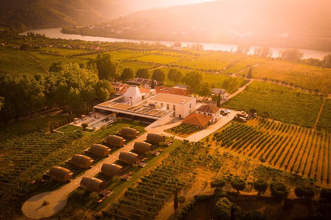 Douro: luxury walking tour with lunch at Quinta da Pacheca - Who should book this private Douro walking experience