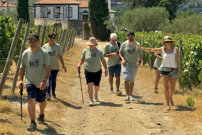 Douro: luxury walking tour with lunch at Quinta da Pacheca - Value check: is $301.03 per person worth it?
