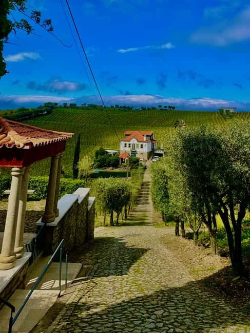 DOURO PREMIUM - Lunch at the Quintinha: traditional food with wine, timed for a real break