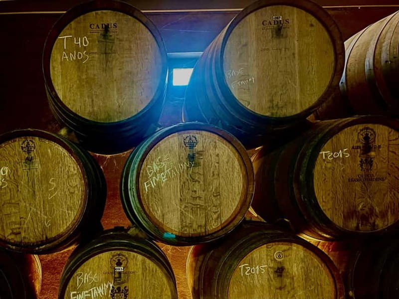 DOURO PREMIUM - Who this Douro Premium day works for, and who should skip it