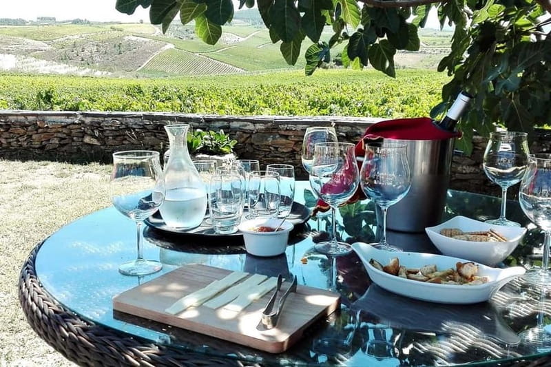 Douro Private Signature Tour – Customizable Experience - Key highlights that make this tour worth your attention