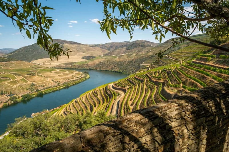 Douro Private Signature Tour – Customizable Experience - What a private Douro day actually gives you