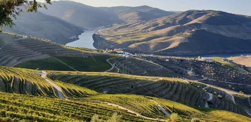 Douro Private Signature Tour – Customizable Experience - Douro villages and historic stops you can actually enjoy