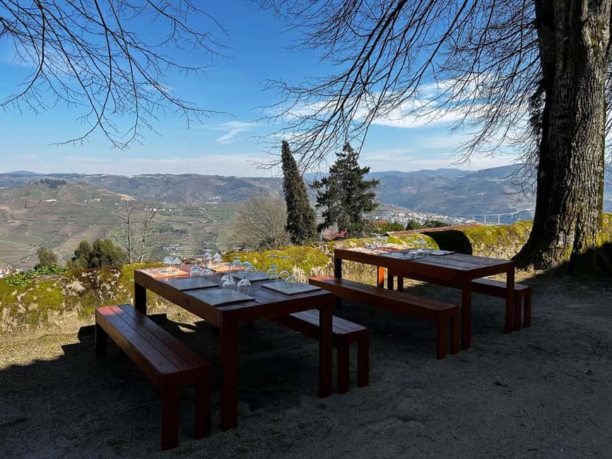 Douro: Quinta de Santa Júlia Lunch, Tour, & Wine Tasting - The guided estate and vineyard tour: learning what you see