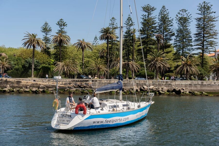 Douro River Cruise with Cheese & Tonic Porto in a Sailboat - Who should book this cruise (and who might not)