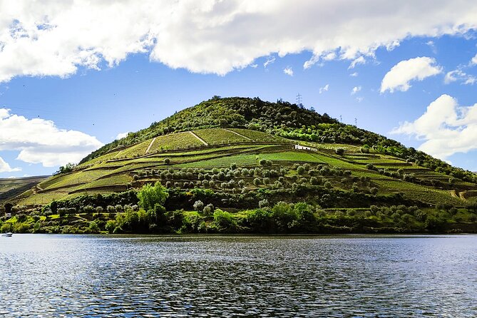Douro | Roots & History - Tour with a local - Porto to the Douro Demarcated Region: getting your bearings fast