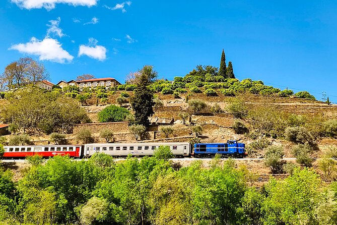 Douro | Roots & History - Tour with a local - Rio Douro scenic road time: learning the region while you travel