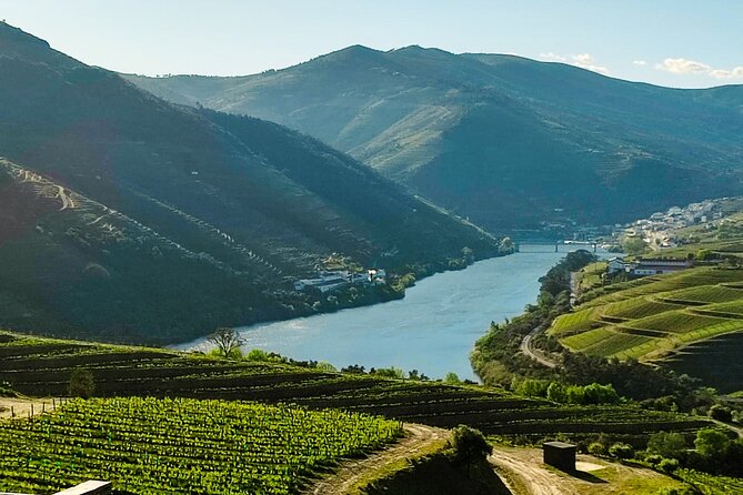 Douro | Roots & History - Tour with a local - Cumieira winery visit and tasting: finishing with another four wines
