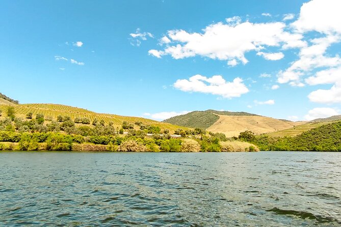 Douro | Roots & History - Tour with a local - Return to Porto: using the day as your shortcut