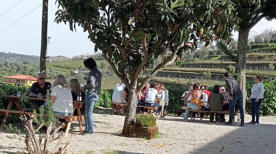 Douro Tour with Wine Tasting and Visit to Lamego and Pinhão - Price and value: what $93 covers, and what it does not