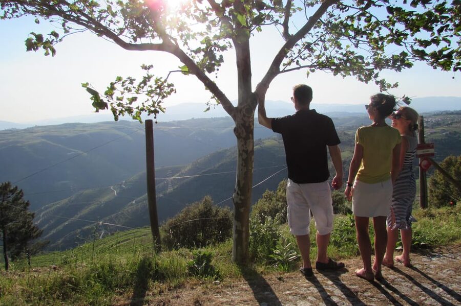 Douro Tour with Wine Tasting and Visit to Lamego and Pinhão - Guide quality matters more than you think