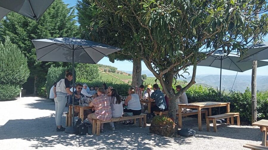 Douro Tour with Wine Tasting and Visit to Lamego and Pinhão - Pinhão’s Rabelo boat cruise: the best hour of the day
