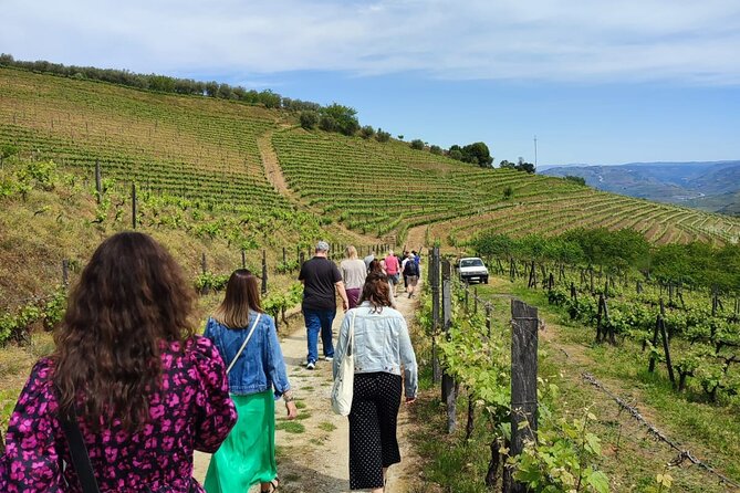 Douro Tour with Wine Tasting, River Cruise and Visit to Lamego - A one-day Douro Valley fix from Porto